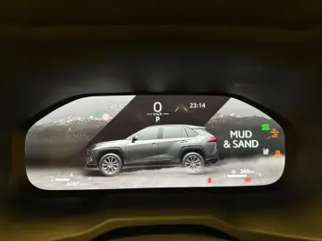 TOYOTA RAV 4 EXECUTIVE-4x4-LED-LEDER-19 ZOLL-29.890 -