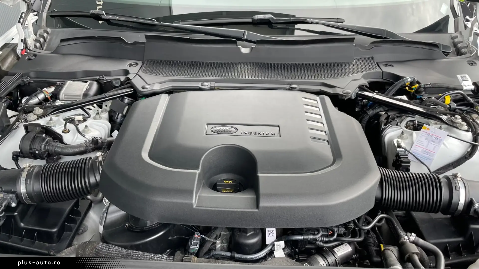 LAND ROVER DISCOVERY 5 D300   R-DYNAMIC SE Pano