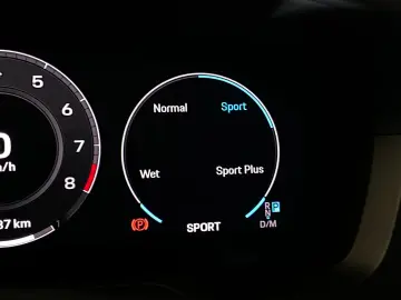 PORSCHE 992 (911) Carrera  Sportabgas  BOSE  SportDesign