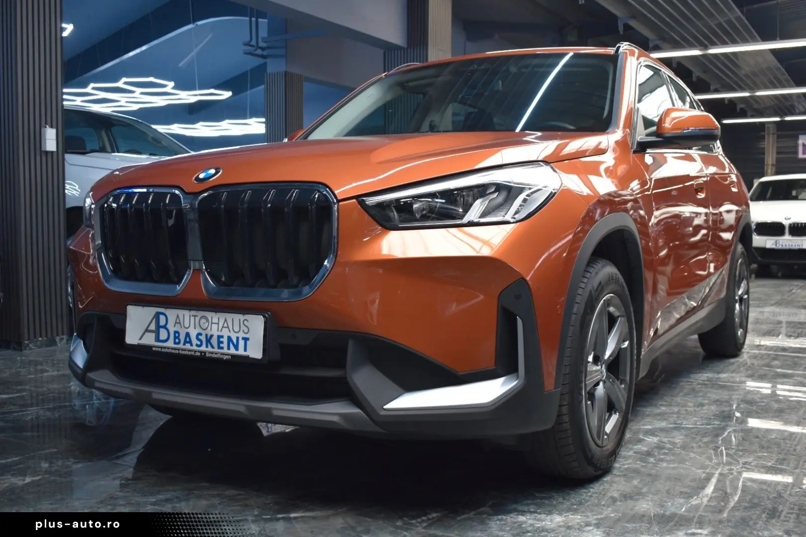 BMW X1 20 d xDrive KAMERA LED AHK ASSIST H&K SHZ