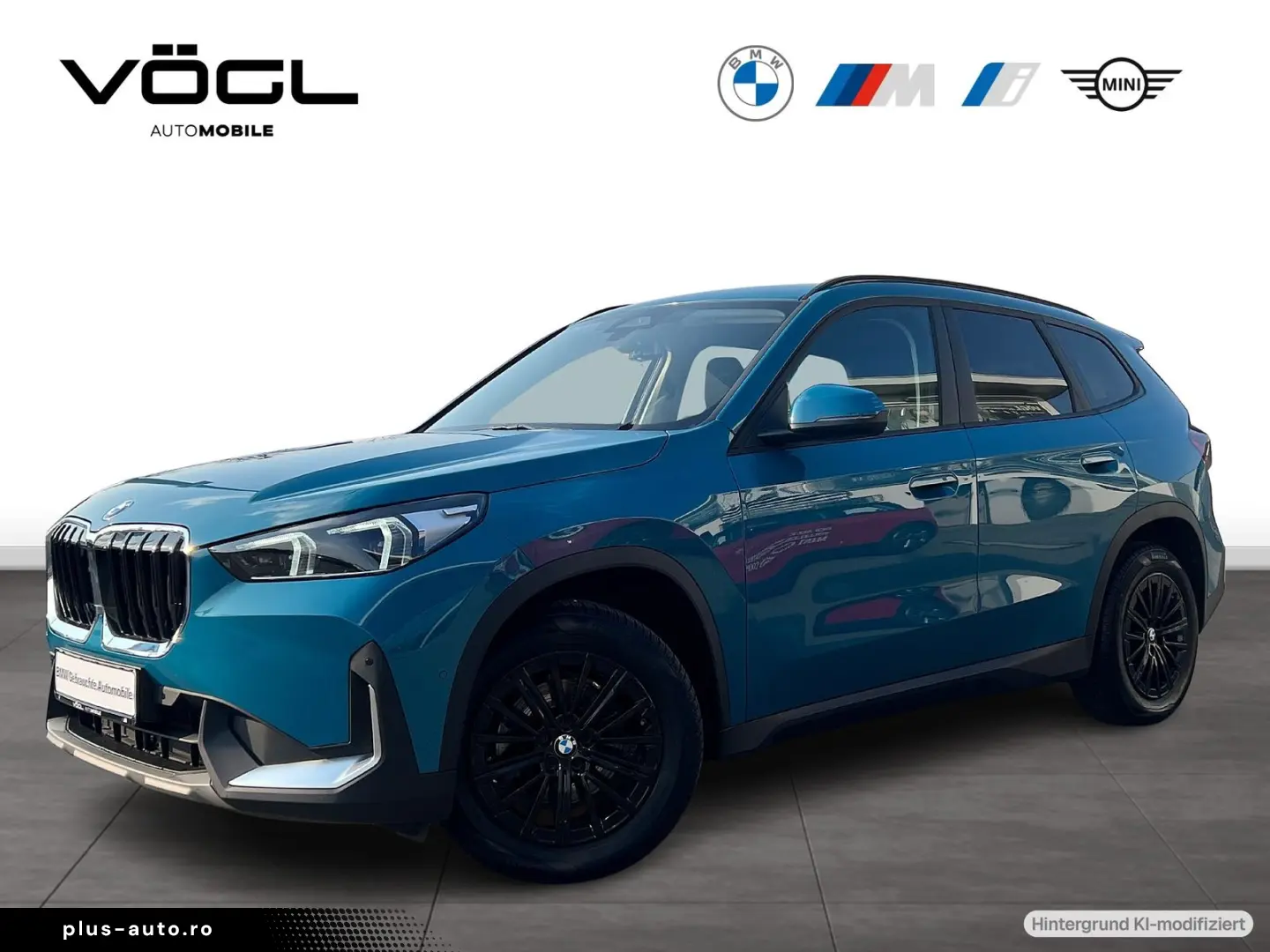 BMW X1 xDrive20d Driv.Ass.Plus LED AHK