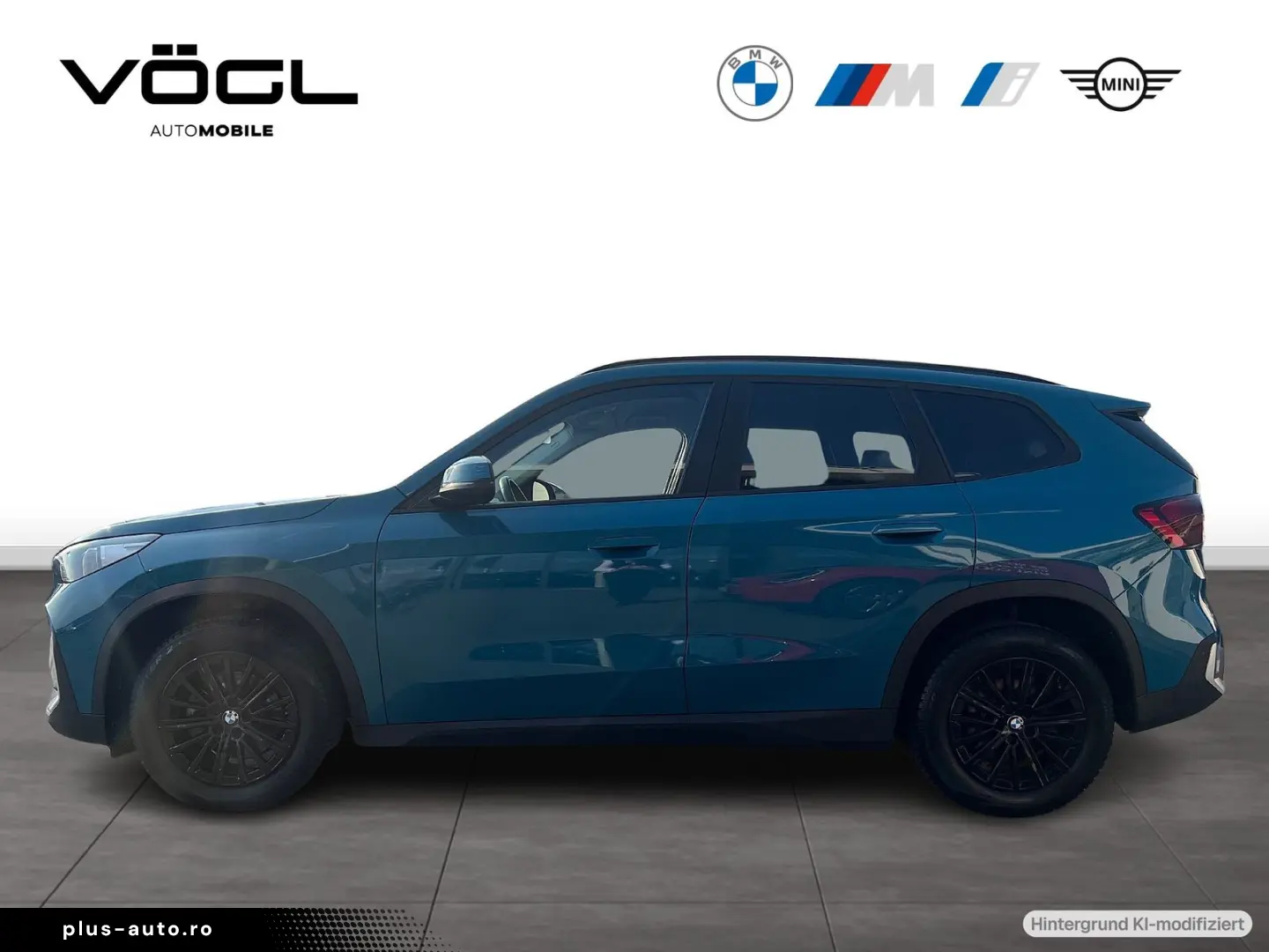 BMW X1 xDrive20d Driv.Ass.Plus LED AHK