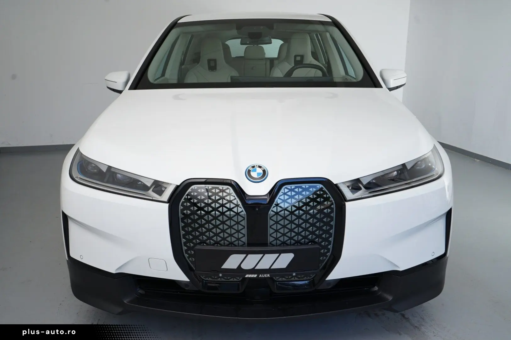 BMW iX xDrive40 AHK H K ACC PDC LASER