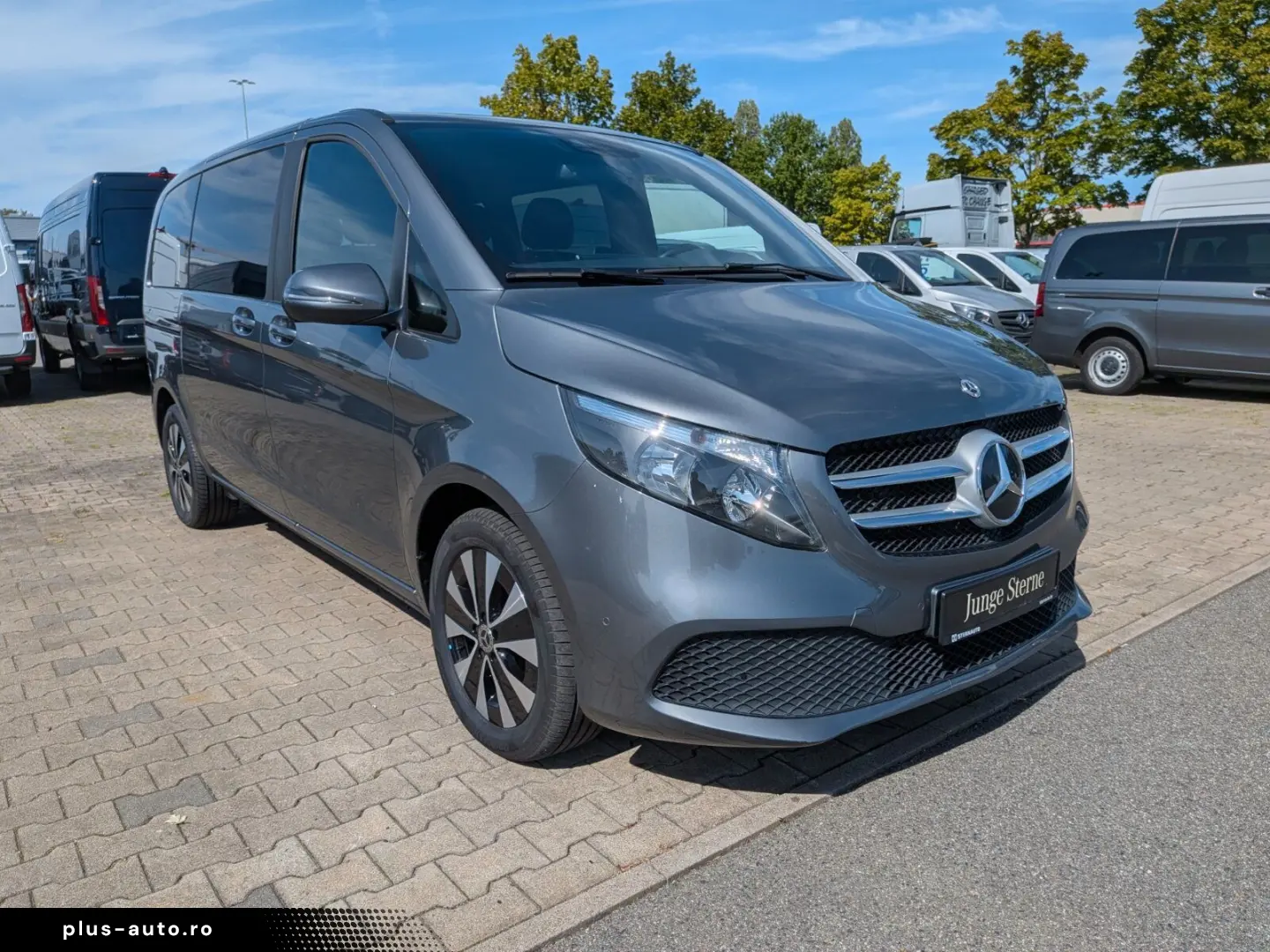 MERCEDES-BENZ V 220 d 8 locuri