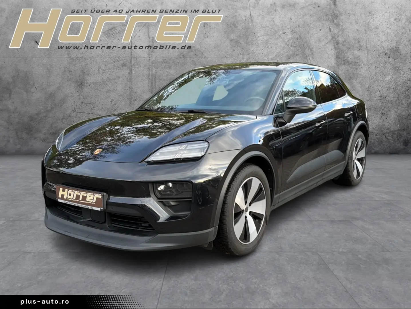 PORSCHE Macan Basis Panoramadach Matrix PASM 14-Wege
