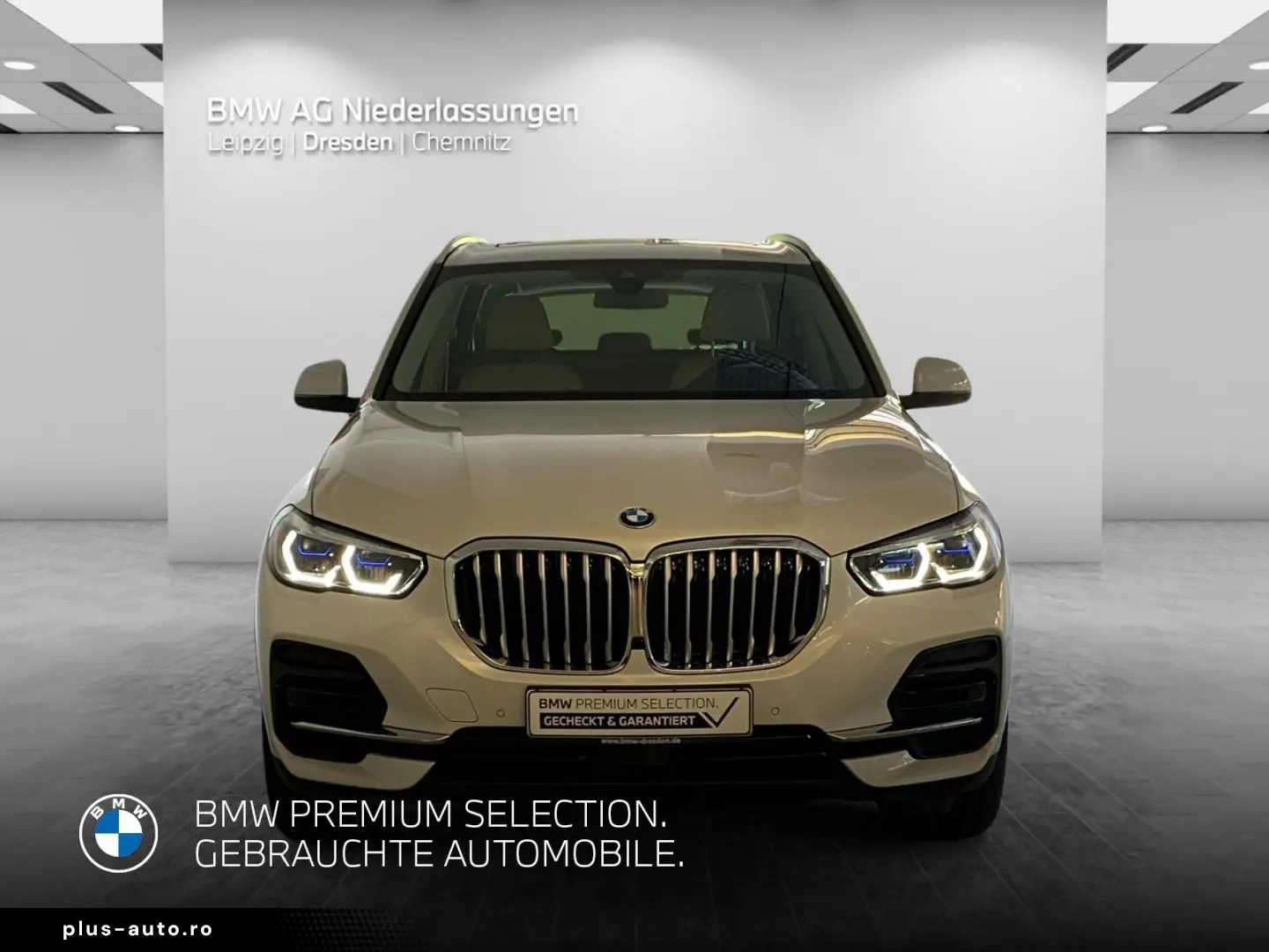 BMW X5 xDrive30d AHK LiveCockpitProf Head-Up Laser
