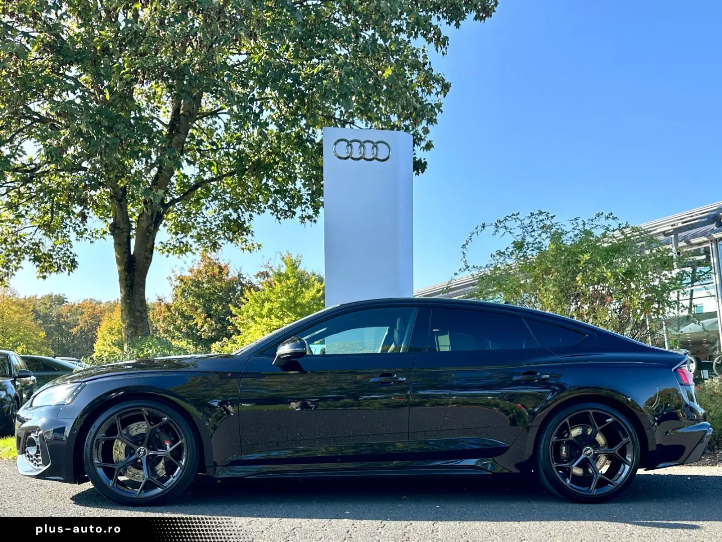 AUDI RS5 SB COMPETITION BLACK SPORTABGAS SCHALENSITZ