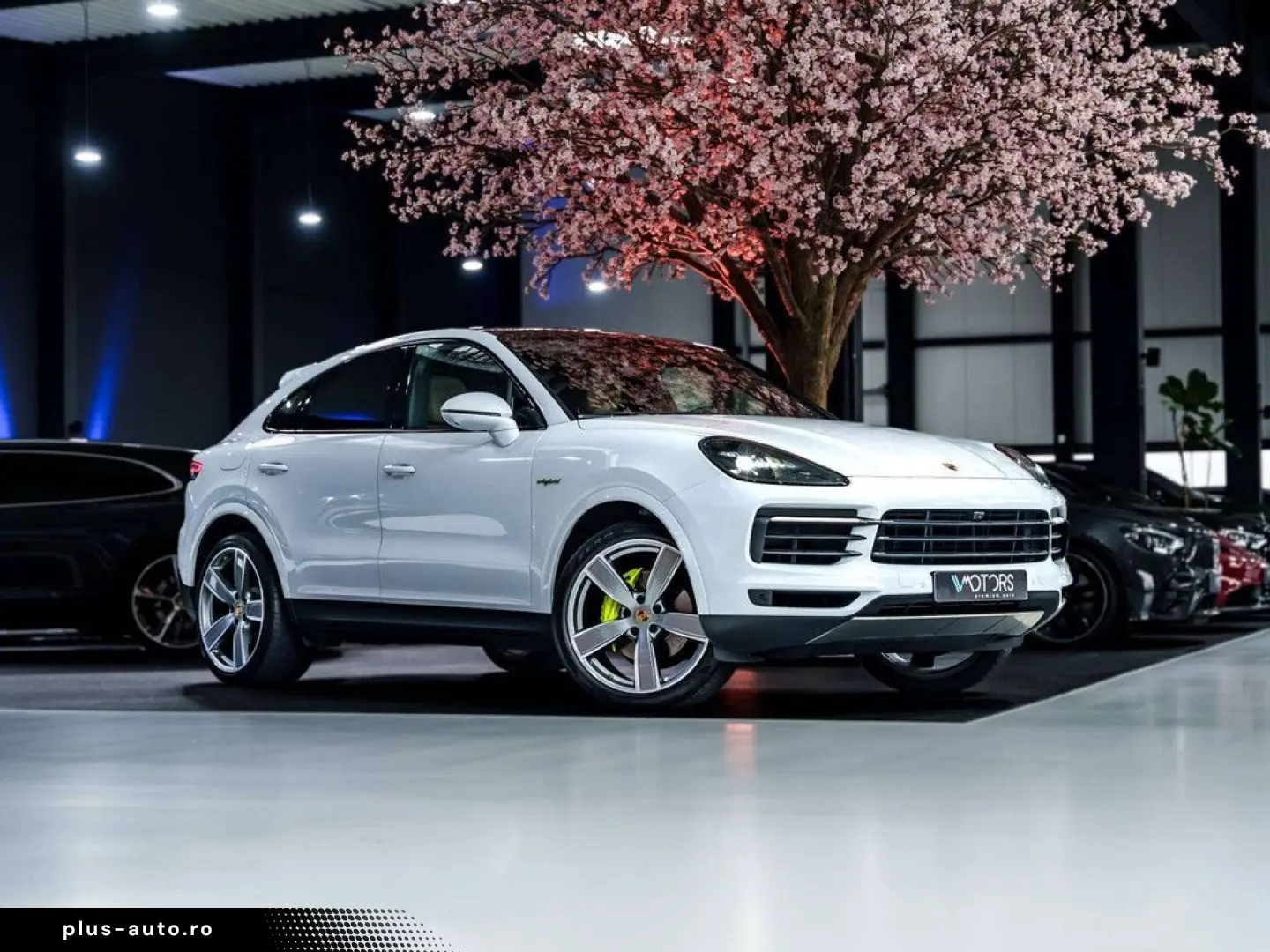 PORSCHE Cayenne 3.0i V6 PHEV - 22  Sport Classic - Pano