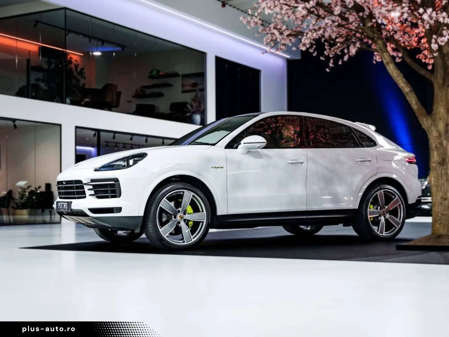PORSCHE Cayenne 3.0i V6 PHEV - 22  Sport Classic - Pano