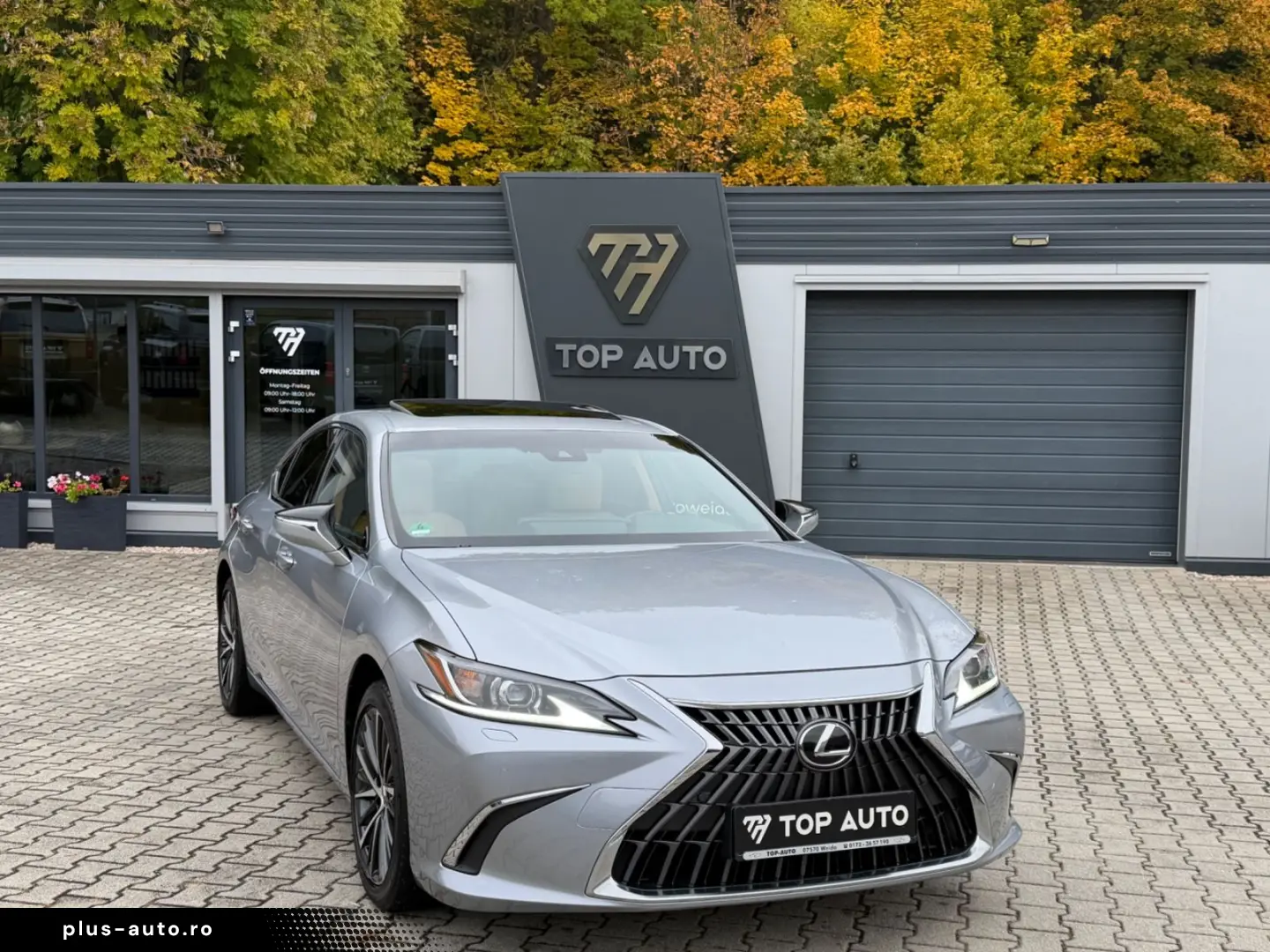 LEXUS ES300H Bussines Line