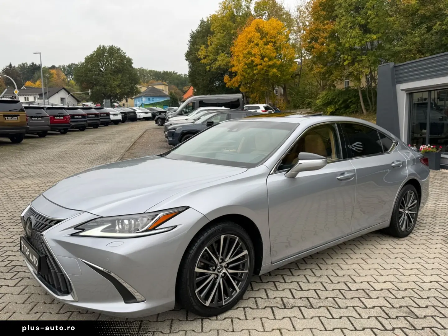 LEXUS ES300H Bussines Line