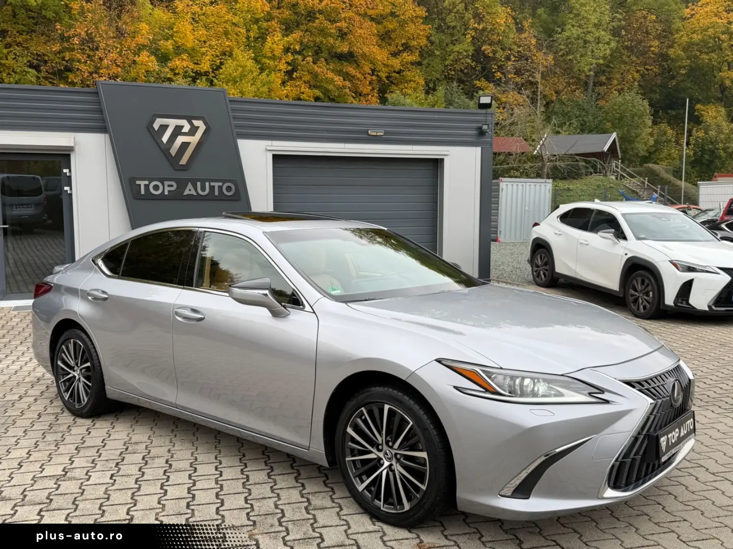 LEXUS ES300H Bussines Line