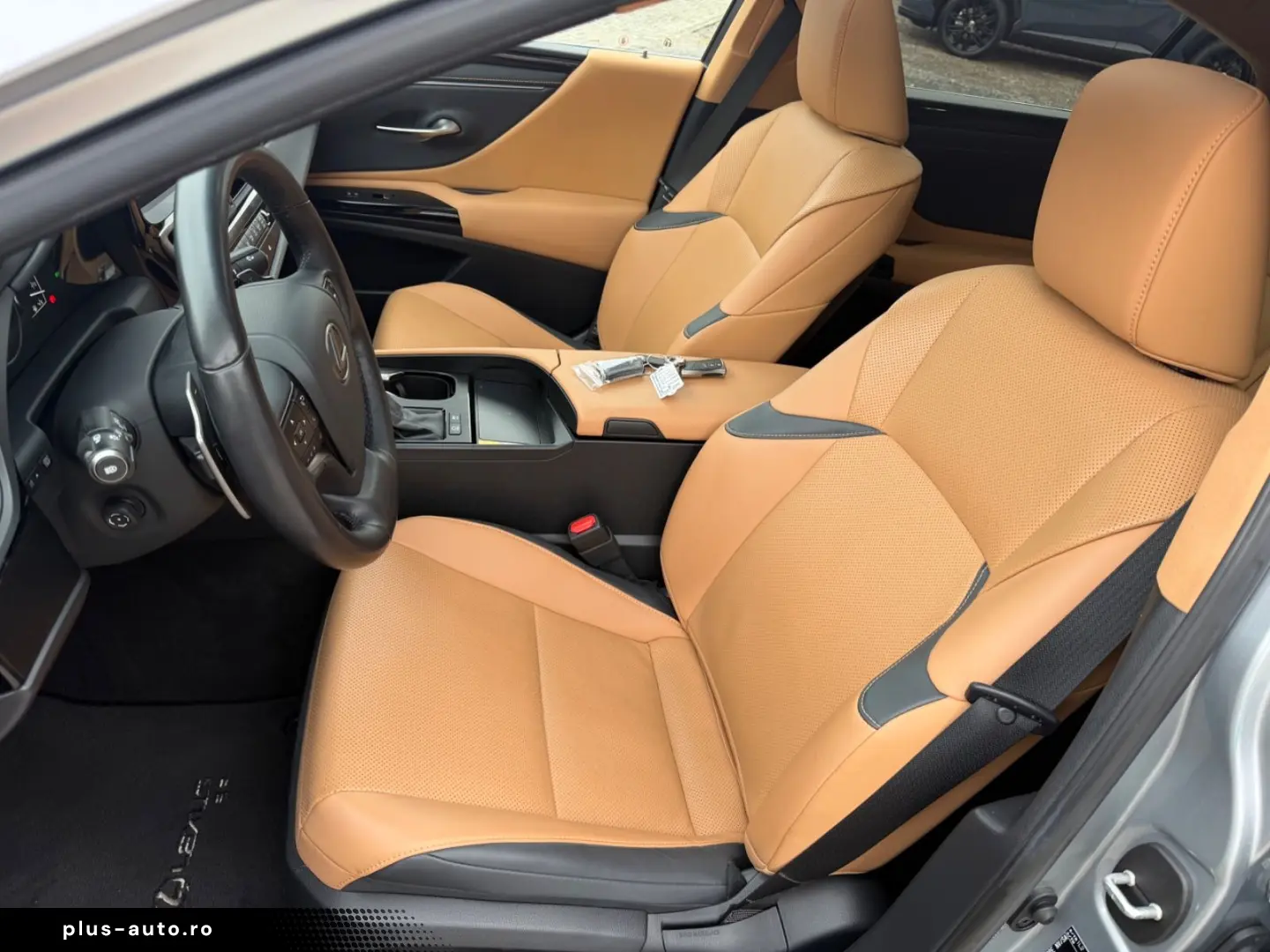 LEXUS ES300H Bussines Line