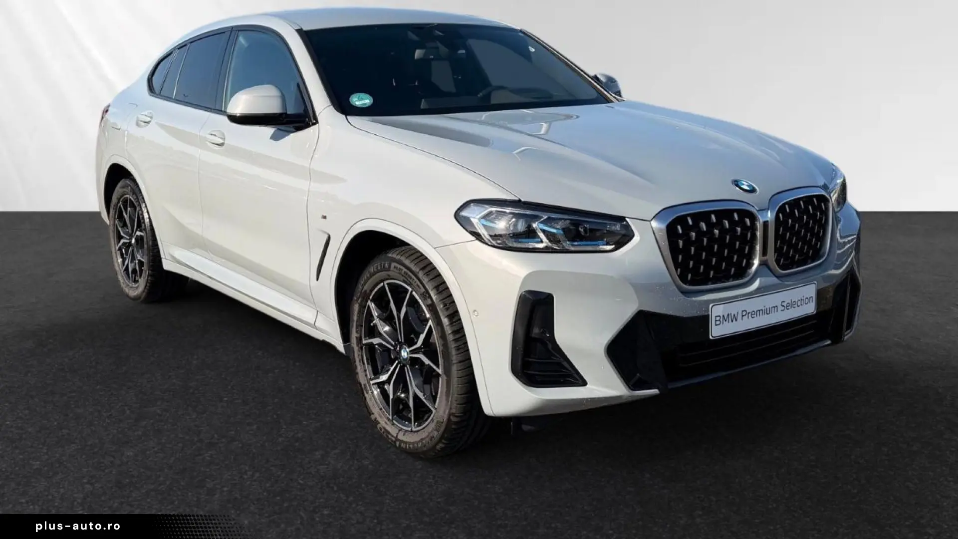 BMW X4 xDrive20d M Sport AHK Head-Up HiFi 19 LM