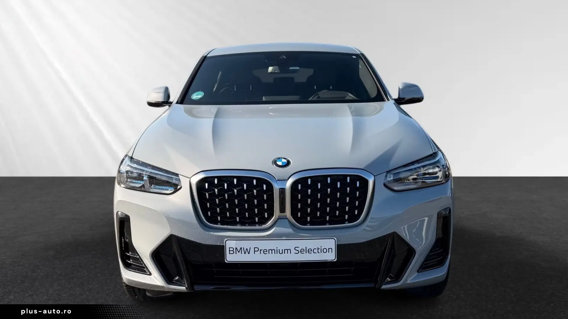 BMW X4 xDrive20d M Sport AHK Head-Up HiFi 19 LM