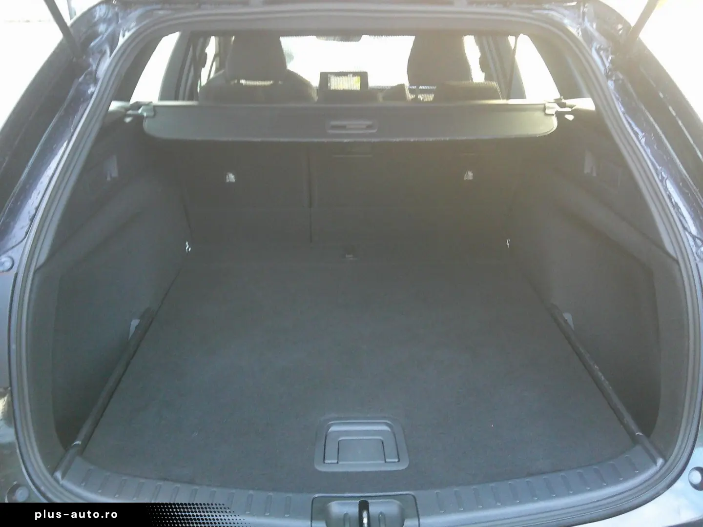 TOYOTA Corolla Touring Sports Hybrid Business Edition