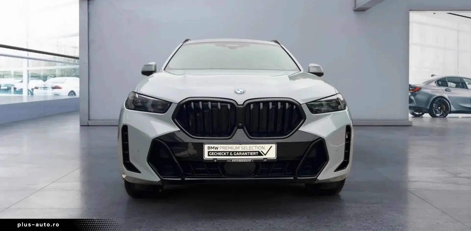 BMW X6 xDrive30d M Sport Pro AHK 360  ACC Pano SoftC