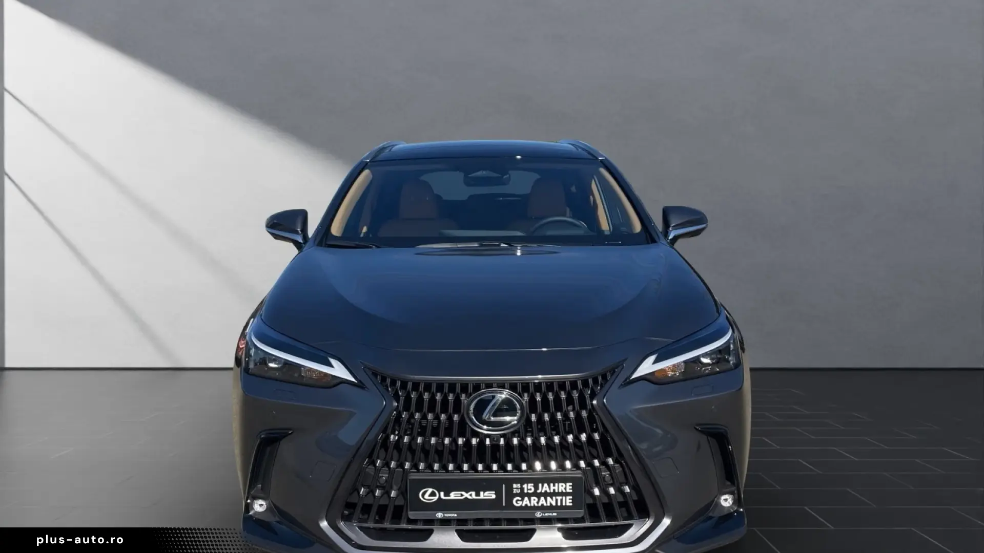 Lexus NX 450h Business E-FOUR