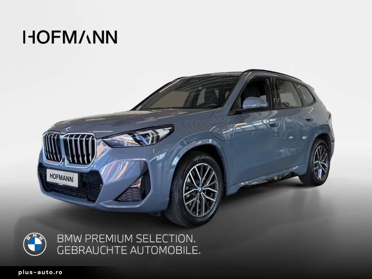 BMW X1 xDrive30e Aut. M Sport AHK ACC Inno Memory